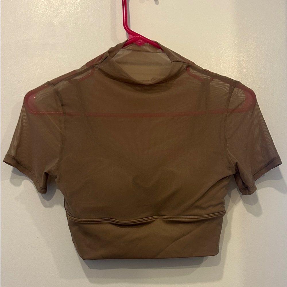Sheer Brown Mesh Top